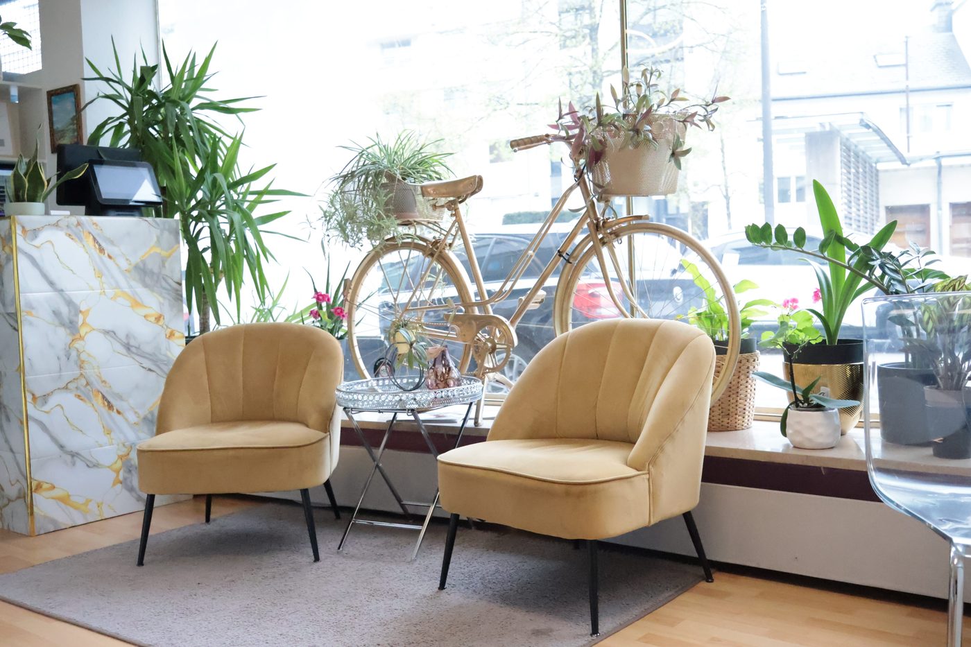 Salon avec fauteuils, plantes et lumière naturelle